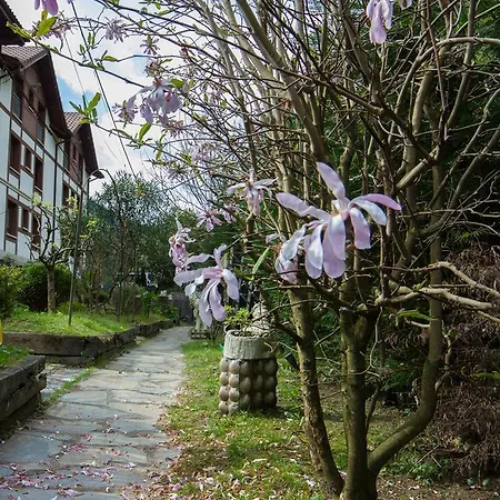 호텔 Adeko 바라칼도